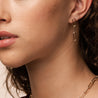 Amelia Chain Earrings