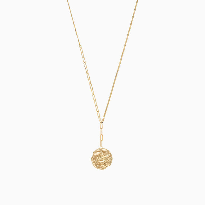 Cascade Coin Necklace